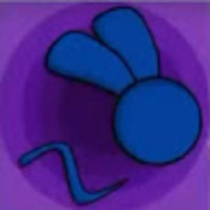 Meet your Posher, Eva